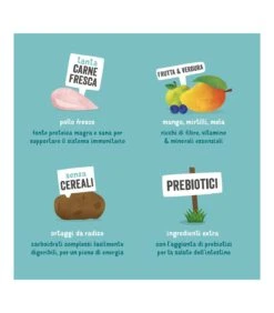 Edgard & Cooper Adult Carne Fresca Di Pollo Allevato A Terra Senza Cereali 7 Kg 8 Edgard & Cooper Adult Carne Fresca Di Pollo Allevato A Terra Senza Cereali 7 Kg -Accessori Per Cani edgard cooper adult carne fresca di pollo allevato a terra senza cereali 7 kg 3