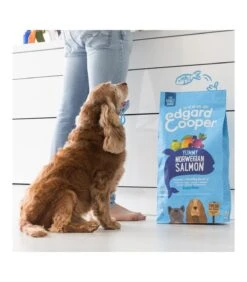 Edgard & Cooper Adult Carne Fresca Di Salmone Norvegese Senza Cereali 12 Kg -Accessori Per Cani edgard cooper adult carne fresca di salmone norvegese senza cereali 12 kg 3
