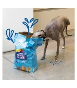 Edgard & Cooper Adult Carne Fresca Di Salmone Norvegese Senza Cereali 2,5 Kg -Accessori Per Cani edgard cooper adult carne fresca di salmone norvegese senza cereali 25 kg 2