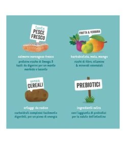 Edgard & Cooper Adult Carne Fresca Di Salmone Norvegese Senza Cereali 2,5 Kg -Accessori Per Cani edgard cooper adult carne fresca di salmone norvegese senza cereali 25 kg 5