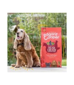 Edgard & Cooper Senior Carne Fresca Di Pollo Allevato A Terra E Salmone Norvegese Senza Cereali 12 Kg -Accessori Per Cani edgard cooper senior carne fresca di pollo allevato a terra e salmone norvegese senza cereali 12 kg 2