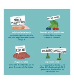 Edgard & Cooper Senior Carne Fresca Di Pollo Allevato A Terra E Salmone Norvegese Senza Cereali 2,5 Kg 9 Edgard & Cooper Senior Carne Fresca Di Pollo Allevato A Terra E Salmone Norvegese Senza Cereali 2,5 Kg -Accessori Per Cani edgard cooper senior carne fresca di pollo allevato a terra e salmone norvegese senza cereali 25 kg 4