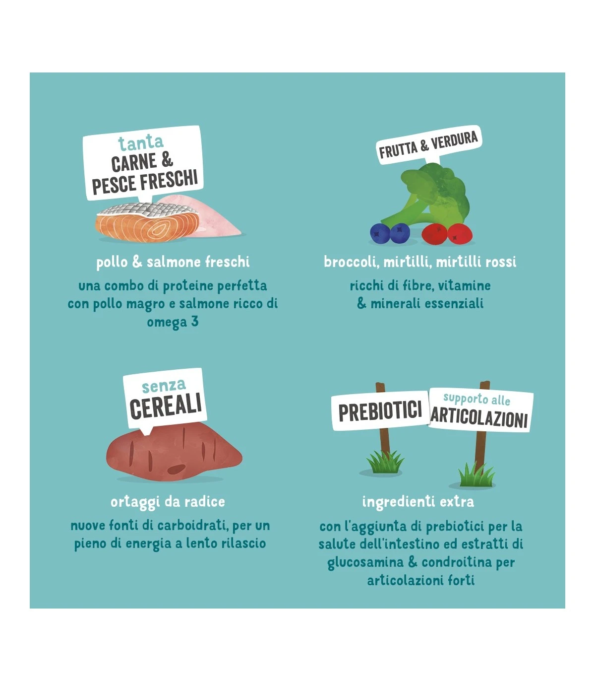 Edgard & Cooper Senior Carne Fresca Di Pollo Allevato A Terra E Salmone Norvegese Senza Cereali 2,5 Kg 5 Edgard & Cooper Senior Carne Fresca Di Pollo Allevato A Terra E Salmone Norvegese Senza Cereali 2,5 Kg - immagine 5