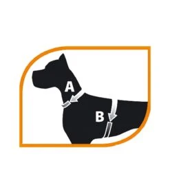 Ferplast Jogging Large Pettorina Con Guinzaglio -Accessori Per Cani ferplast jogging large pettorina con guinzaglio 2