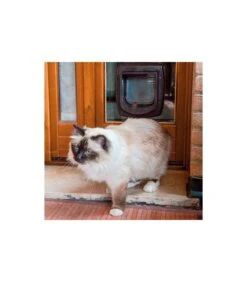 Ferplast Swing Microchip Bianco -Accessori Per Cani ferplast swing microchip bianco 2