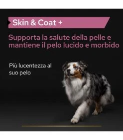 PURINA PRO PLAN Proplan Supplements Skin & Coat Cane 500 Ml -Accessori Per Cani proplan supplements skin coat cane 500 ml 1