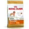 Royal Canin Poodle Adult 1,5 Kg